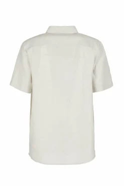 E9 Camisas|Kiwi