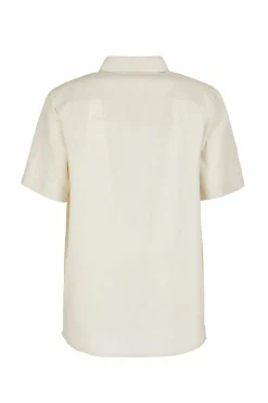 E9 Camisas|Kiwi
